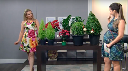 Como conservar as flores ganhadas no dia das mulheres.